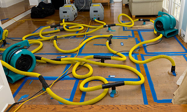 Professional Flood Damage Restoration technician working in North Walpole, NH